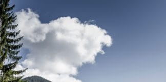 MAN 2020’de Otobüs Pazarındaki Payını Arttırdı