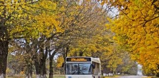 Allison Tam Otomatik Şanzımanlar, 12m Solo Otobüsler gibi 8,5m Midibüslerde de Fark Yaratıyor