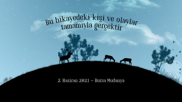 Fiat - Baz__ Yollar Kalplere ____kar_1