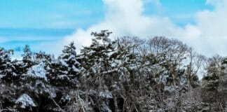 ALPINE MARKASI BENZERSİZ BİR LANSMANLA TÜRKİYE’YE GİRİŞ YAPTI