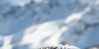 KIŞ LASTİKLERİNE GEÇİŞ: LASTİK SEÇİMİ, PIRELLI’DEN SÜRÜŞ TAVSİYELERİ